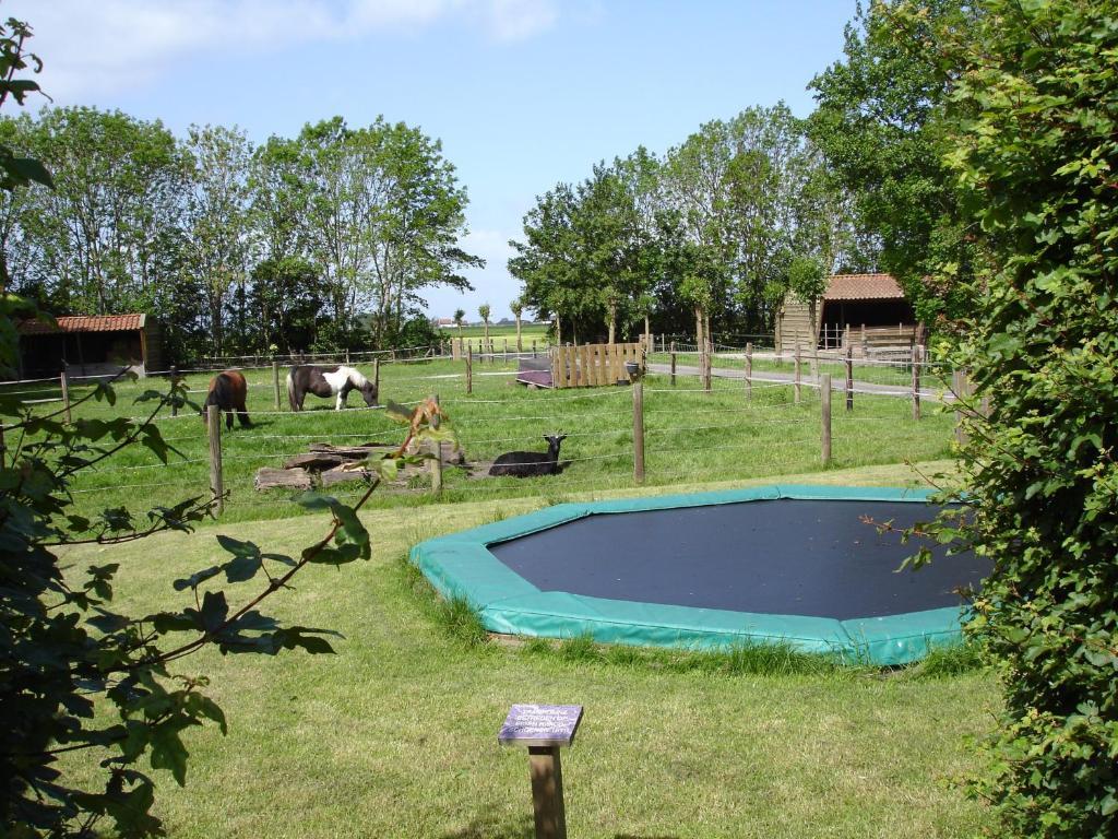 B&B En Vakantiehuisje Ursula 沃库姆 客房 照片